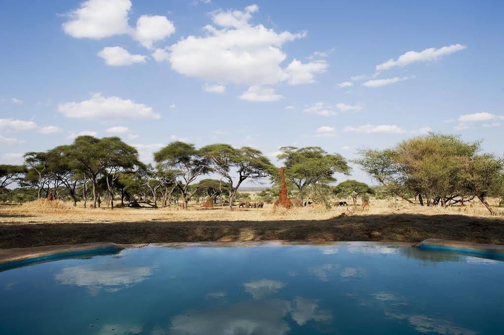 Sanctuary Swala Hotell Babati Exteriör bild